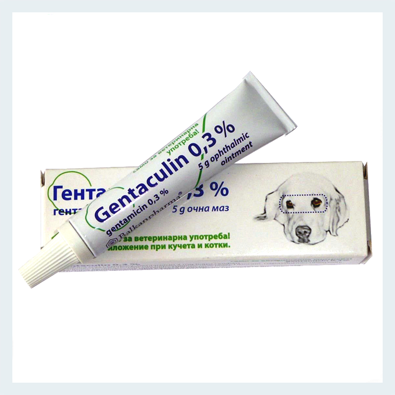 Gentaculin (Gentamicin 0.3) Eye Ointment, 5g Pet Drugs Online Free