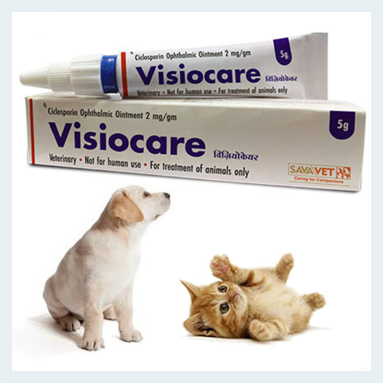 Visiocare Eye Ointment (Cyclosporine 2mg) 5g | Pet Drugs Online - Free